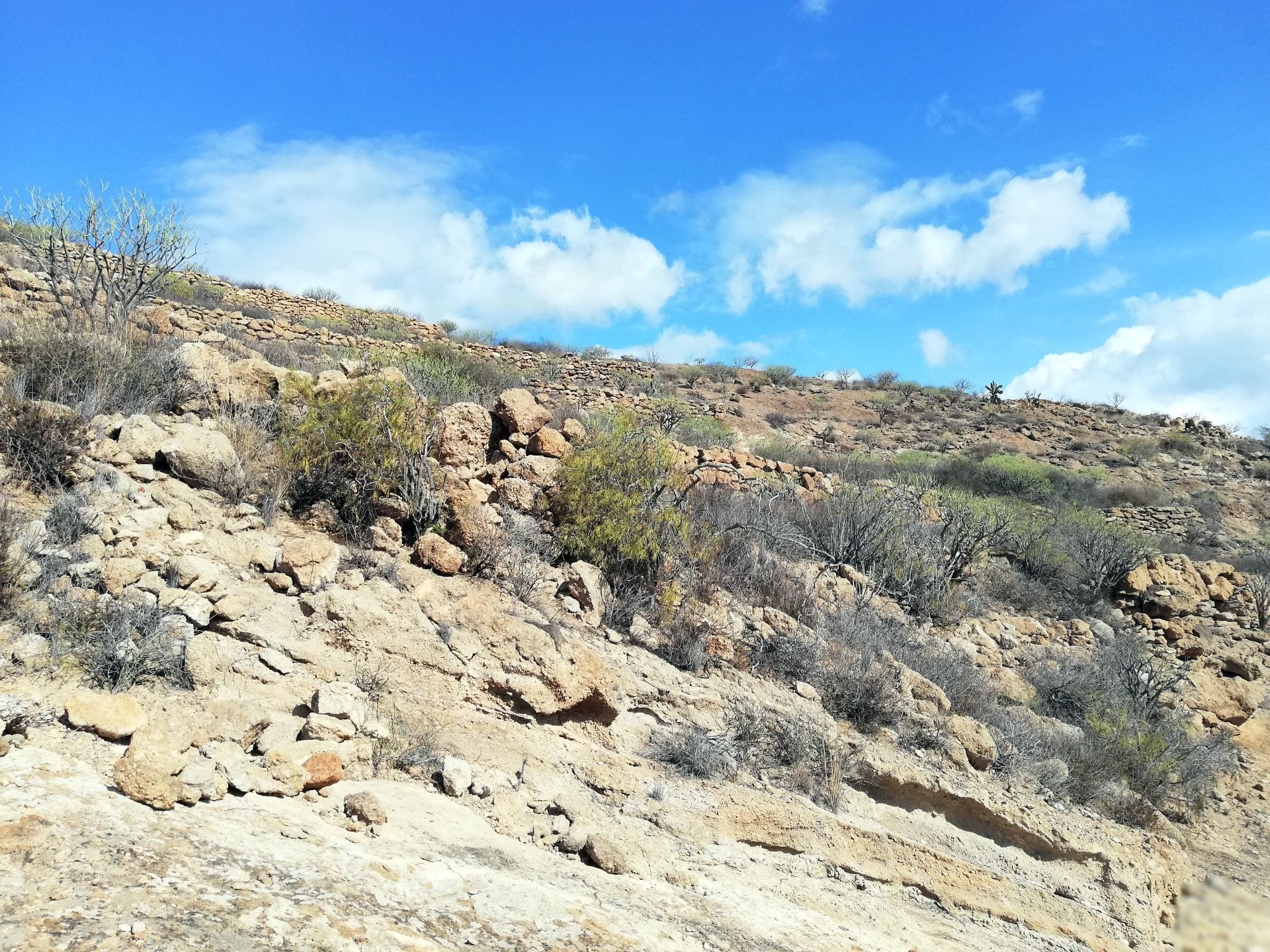 Finca rústica en La Tosquita