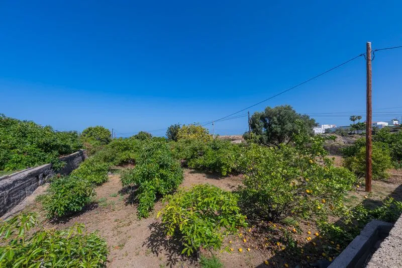 FINCA con Chalet, Casa de Invitaos, Piscina y Jardines