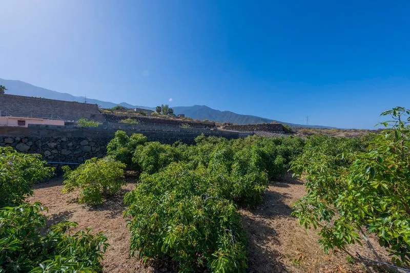 FINCA con Chalet, Casa de Invitaos, Piscina y Jardines