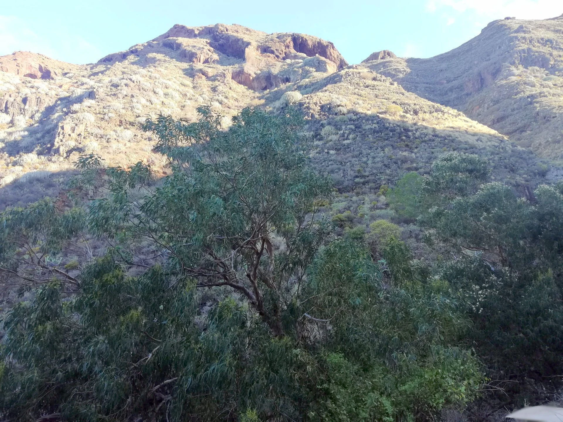 Finca in Monte de Bajamar