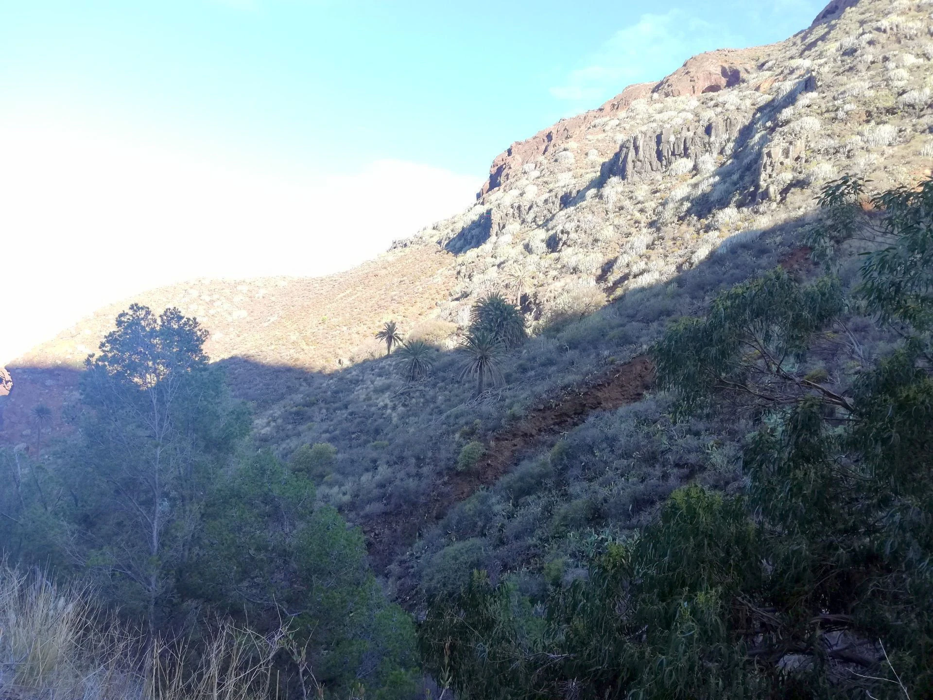 Finca in Monte de Bajamar