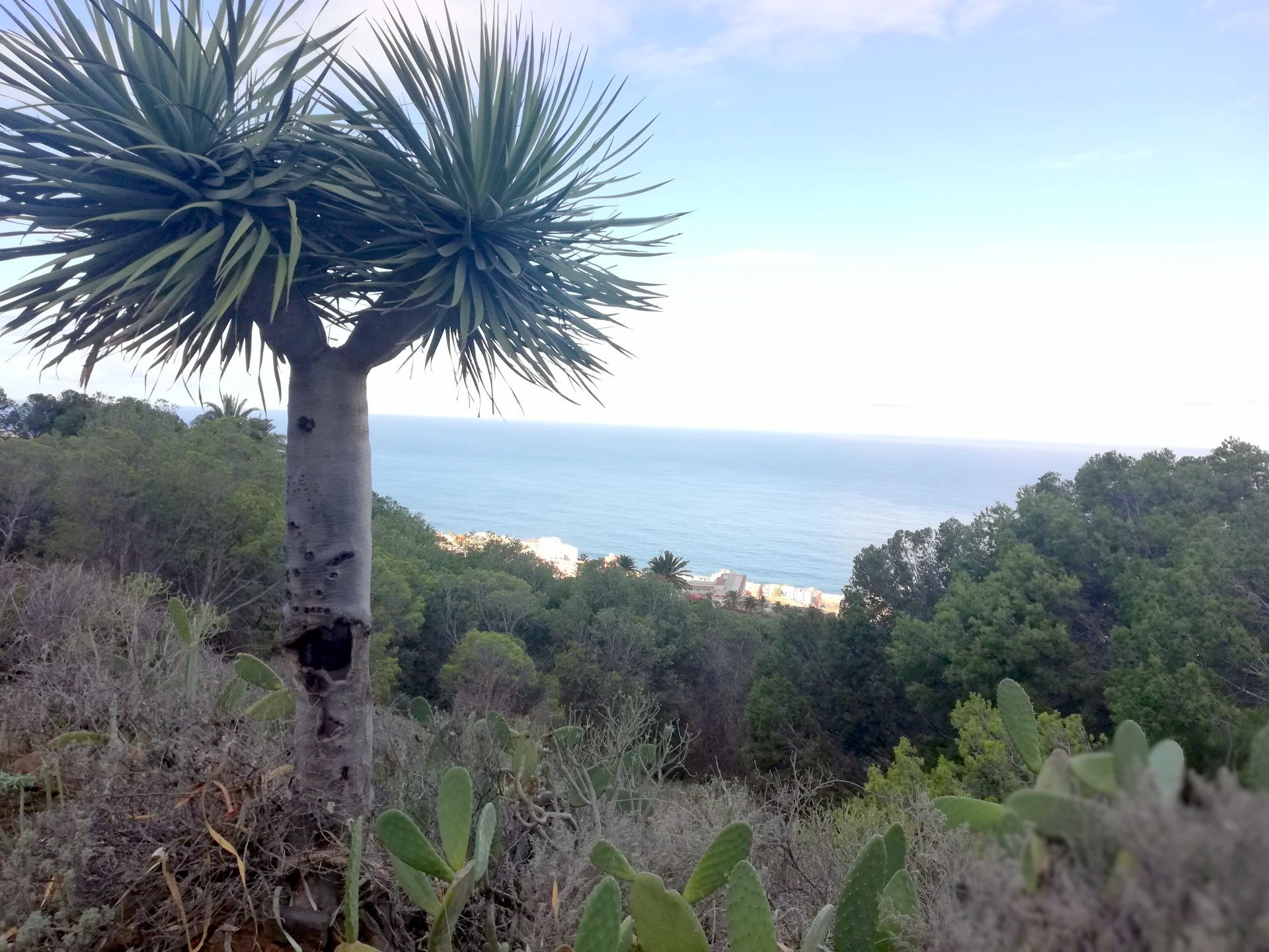Finca in Monte de Bajamar