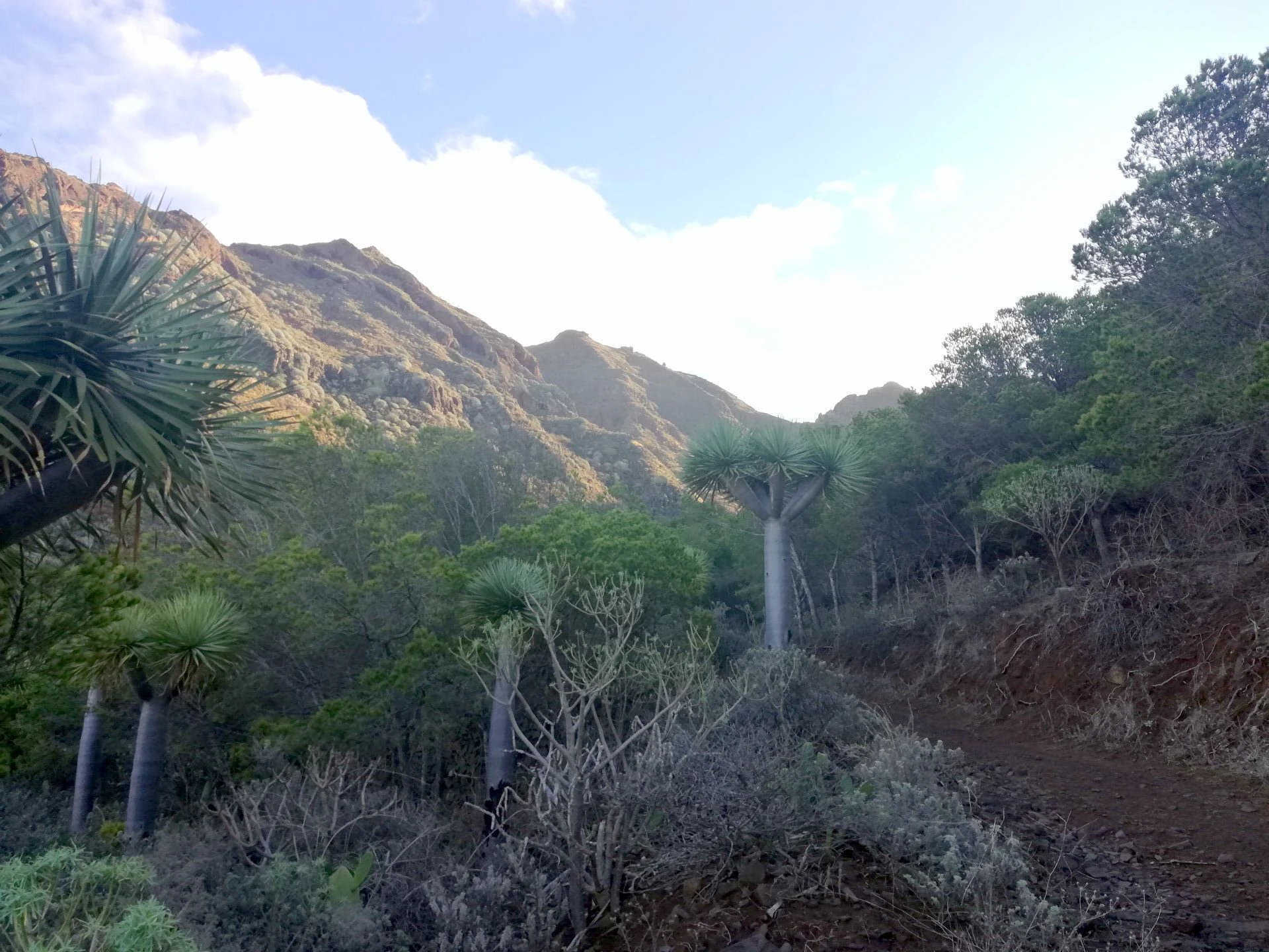 Finca in Monte de Bajamar