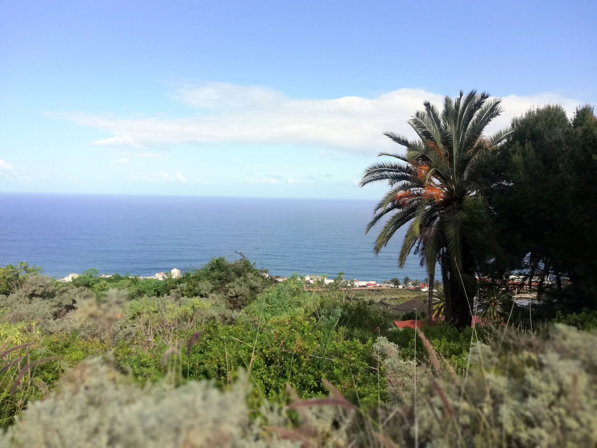 Finca in Monte de Bajamar