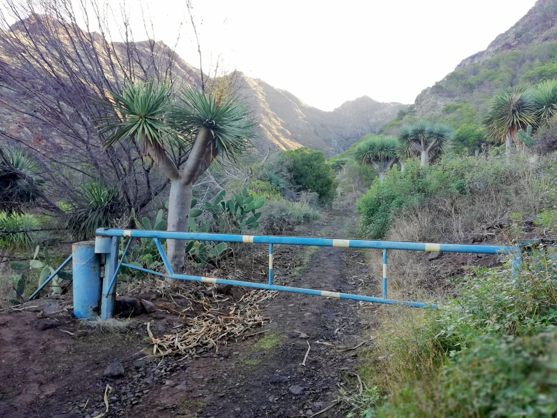 Finca in Monte de Bajamar