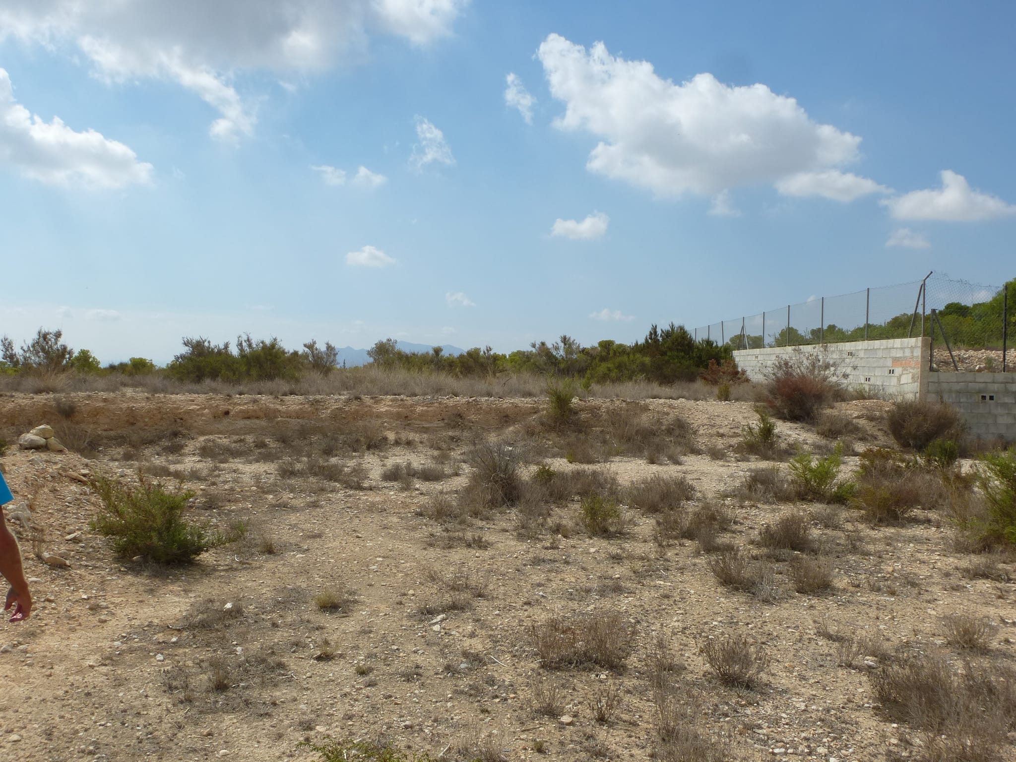 For Sale. Plot in Crevillente