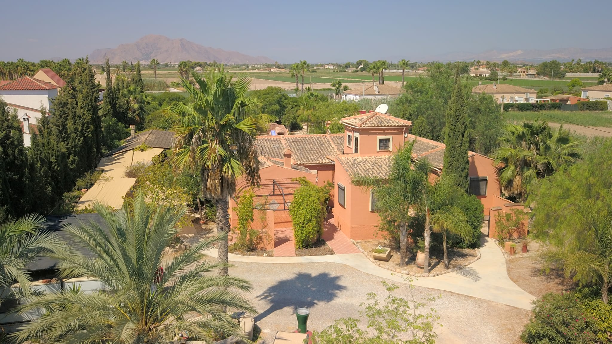 Venta. Finca en Catral
