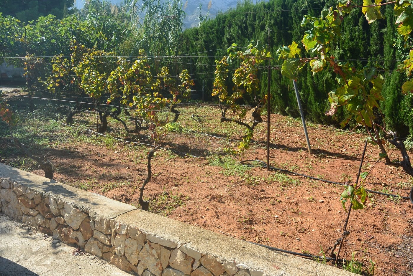 Villa for sale in Dénia