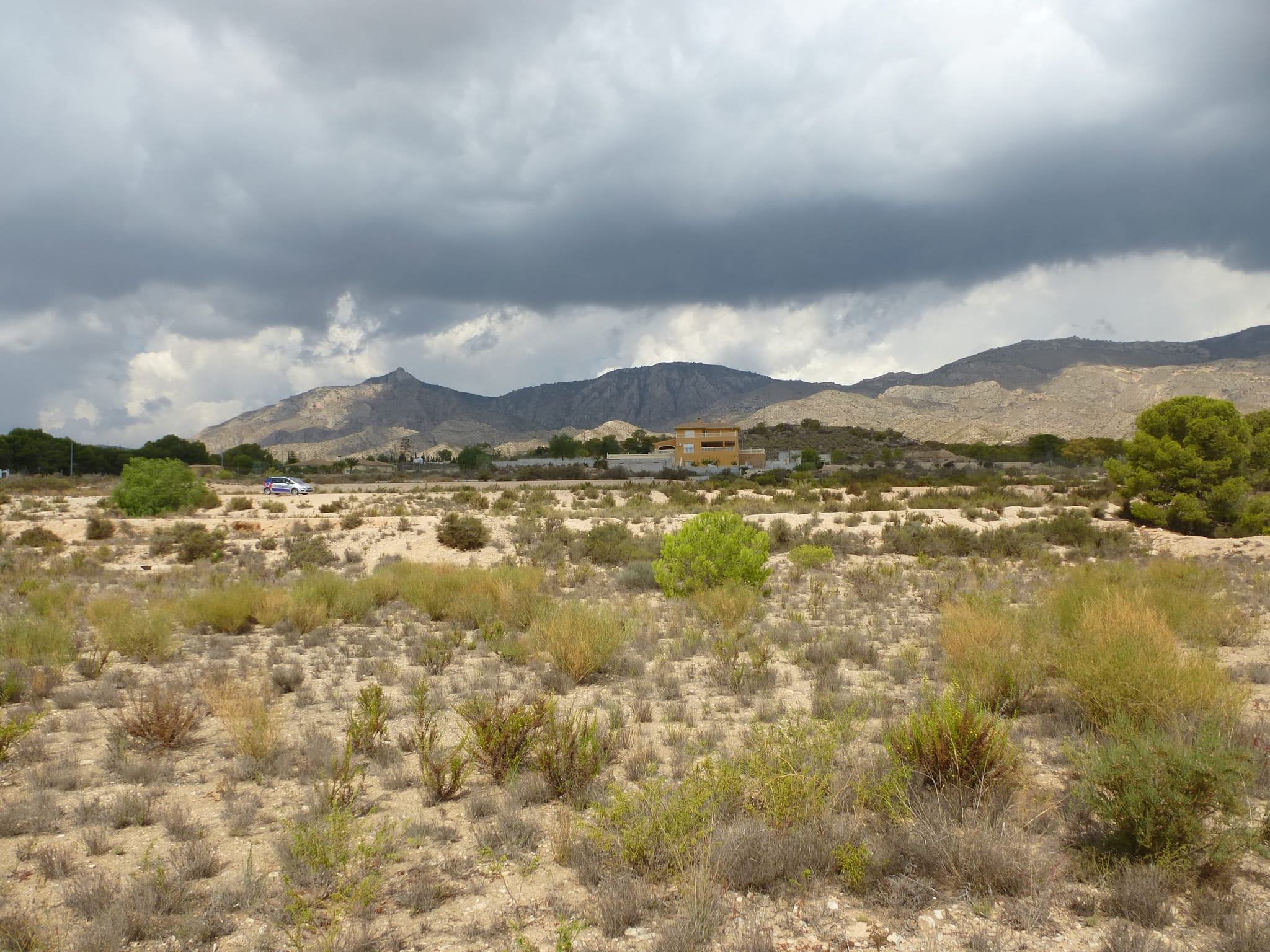 For Sale. Plot in Crevillente