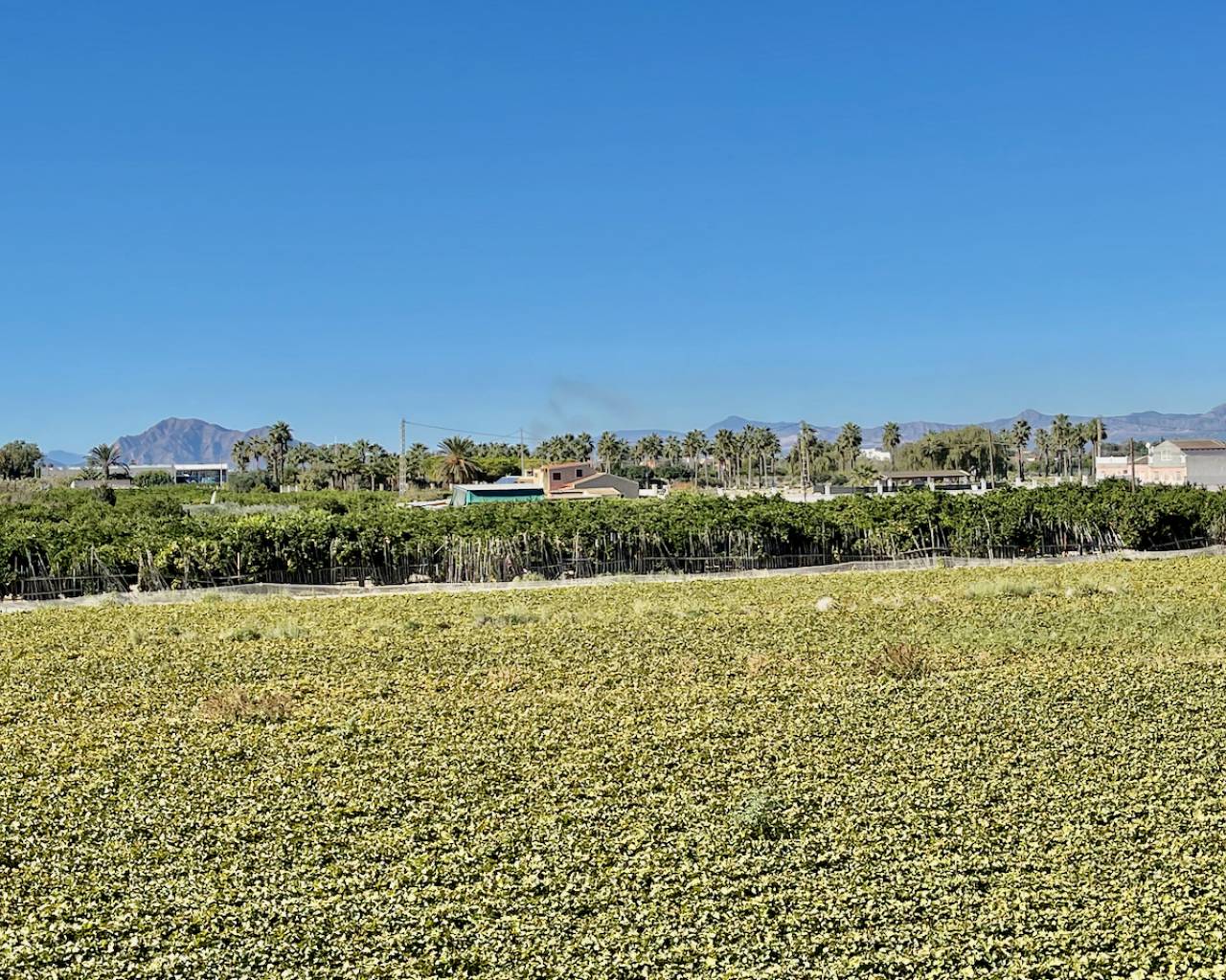 For Sale. Villa in Guardamar del Segura