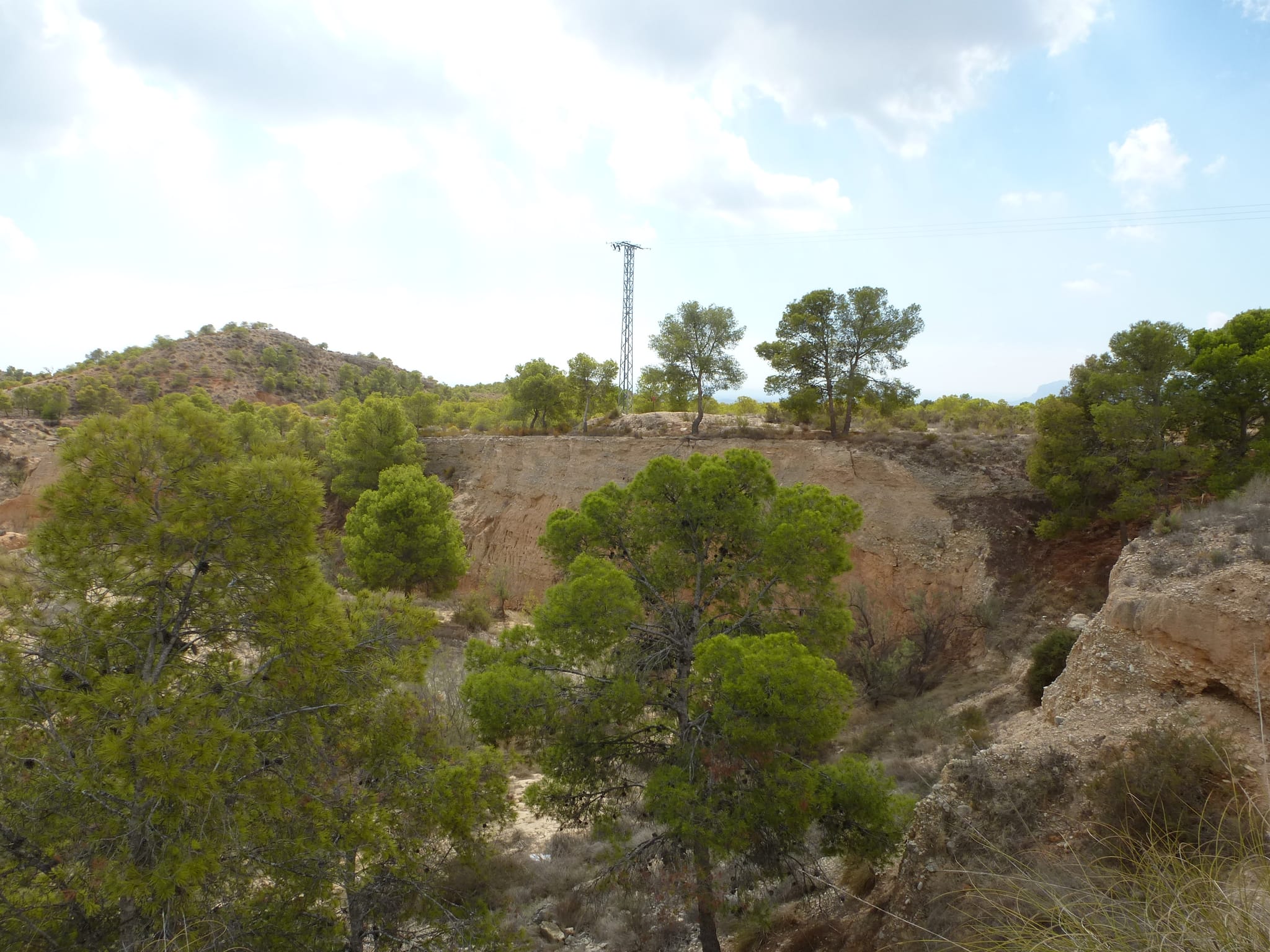 For Sale. Plot in Crevillente