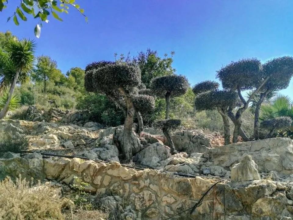 For Sale. Country House in Pedreguer