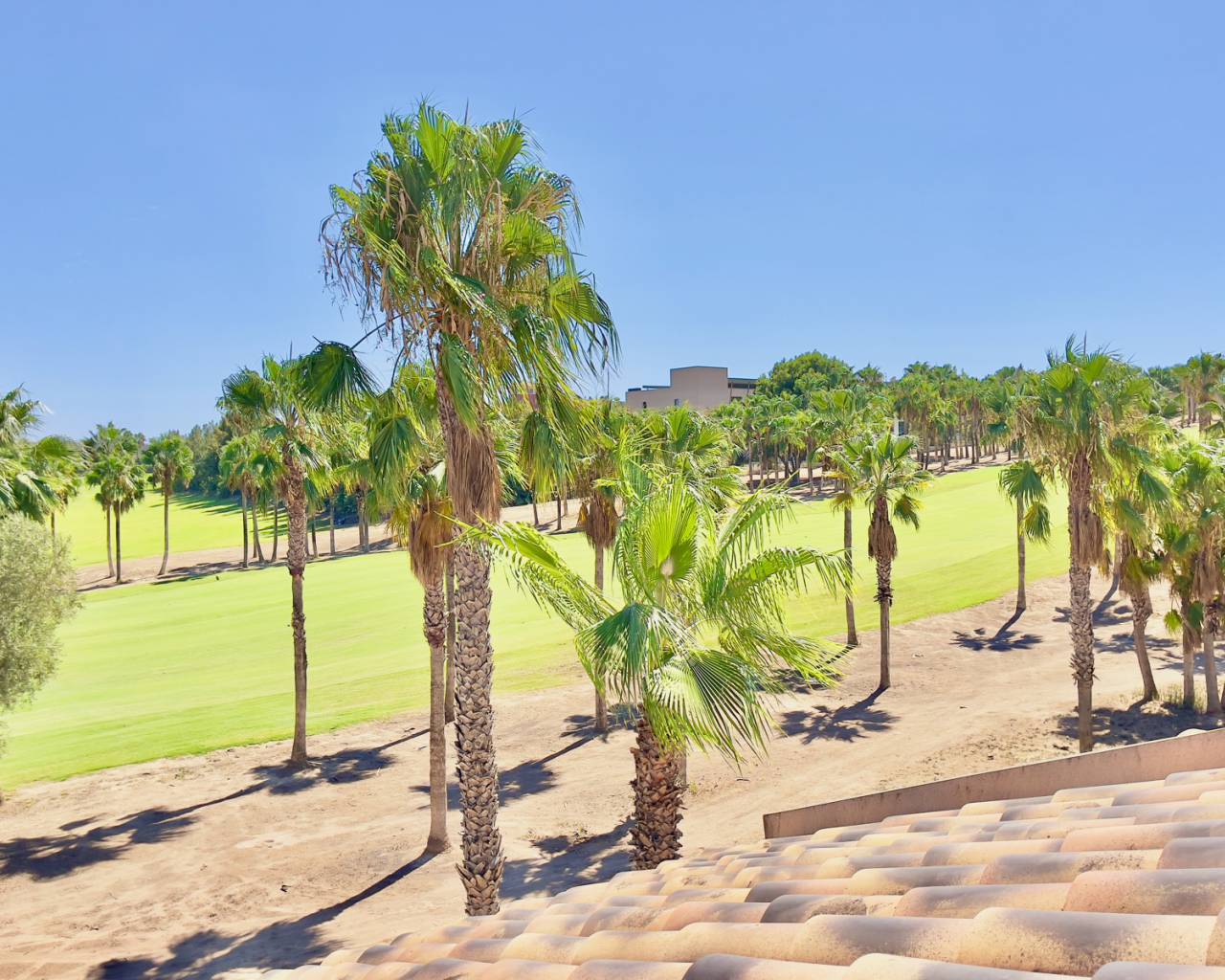 Venta. Villa en Algorfa