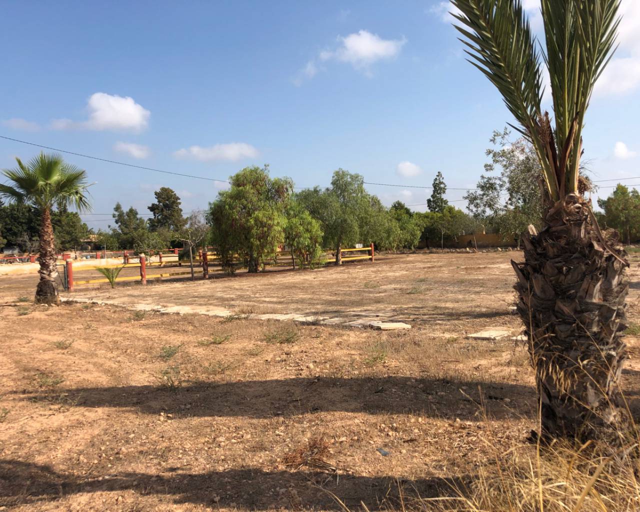 For Sale. Country House in Los Montesinos
