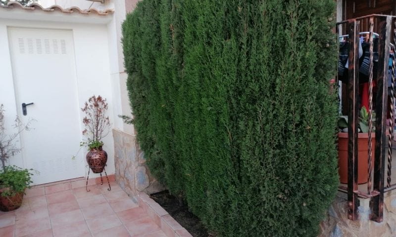 Venta. Apartment en Pilar de la Horadada