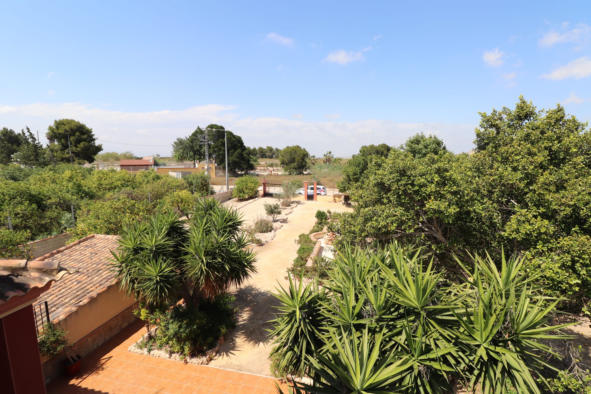 For Sale. Country House in Algorfa