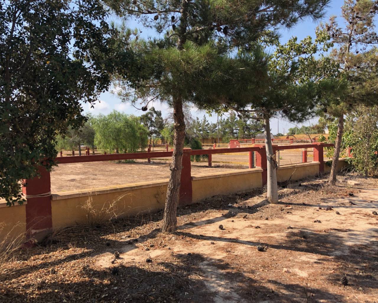 For Sale. Country House in Los Montesinos