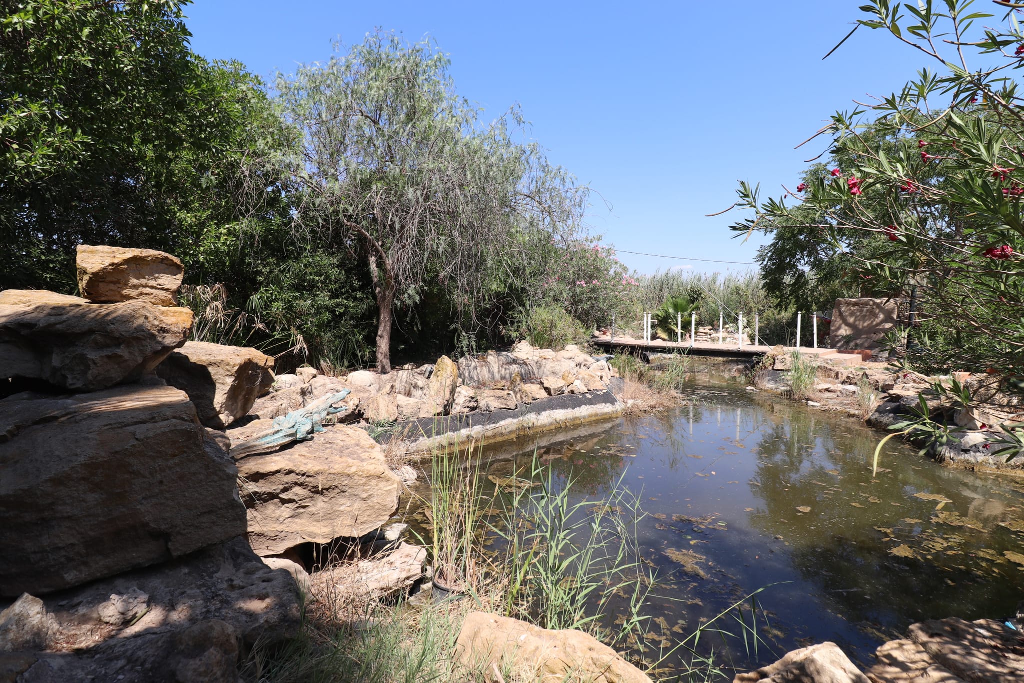 Venta. Finca en Catral