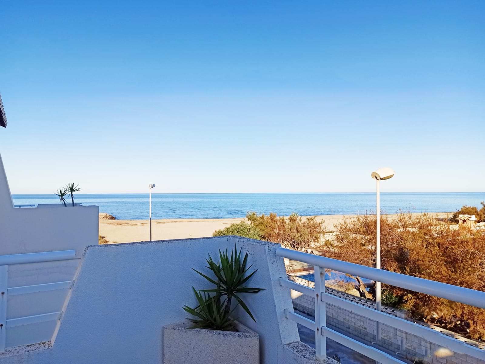 ERSTE LINIE IN DENIA