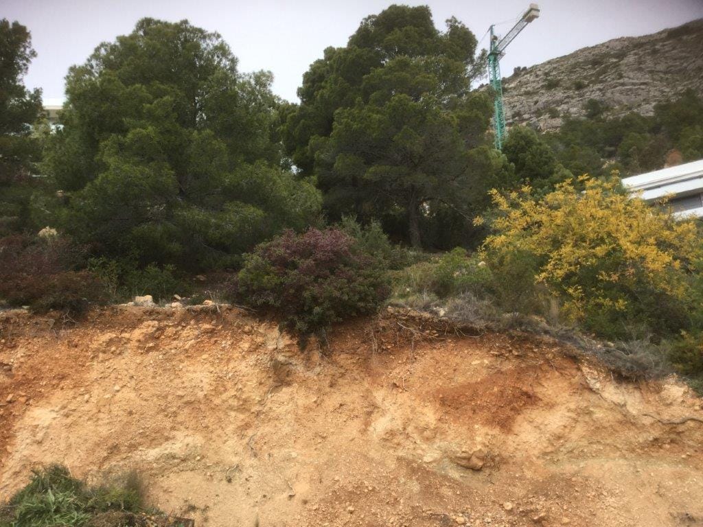 Verkoop. Intrige in Altea