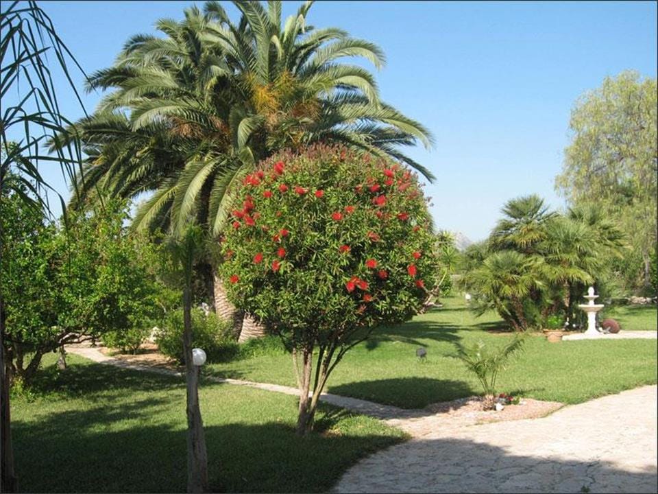 For Sale. Villa in Denia