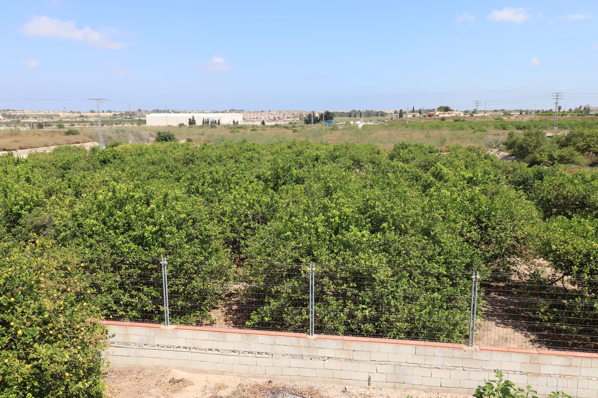 For Sale. Country House in Algorfa