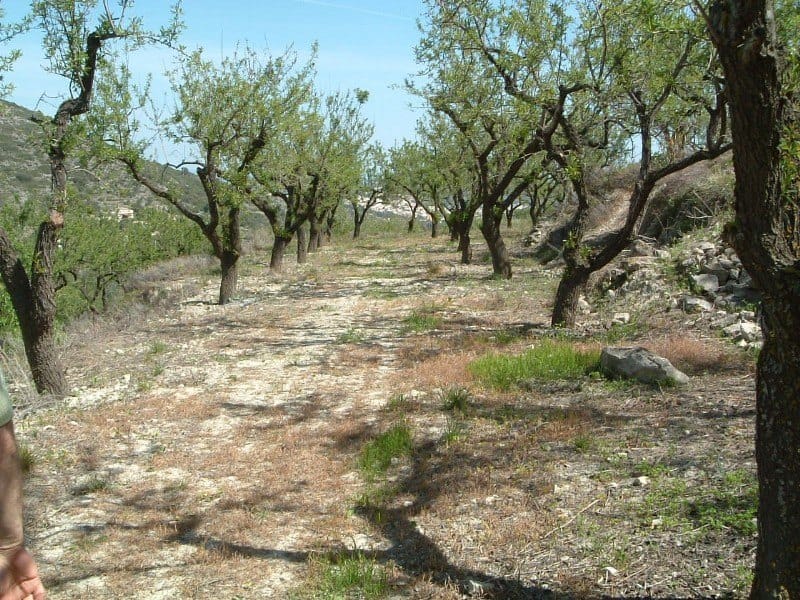CC-2-77716 - Lovely plot with seaview for sale in La Llosa de Camacho