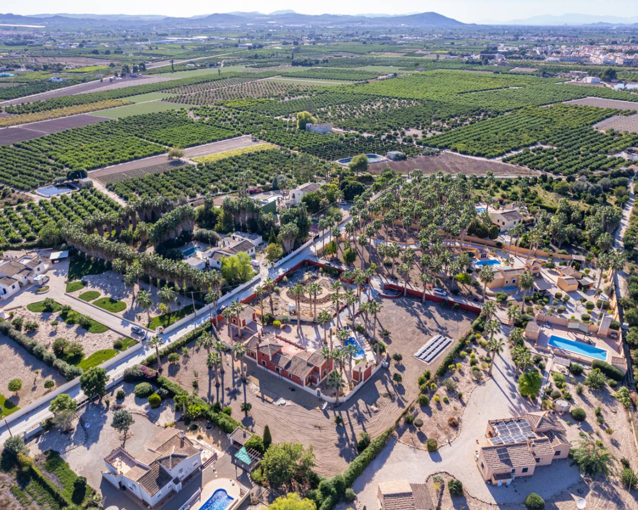 Venta. Finca en Almoradi