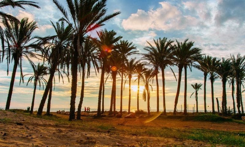 Venta. Villa en Torrevieja