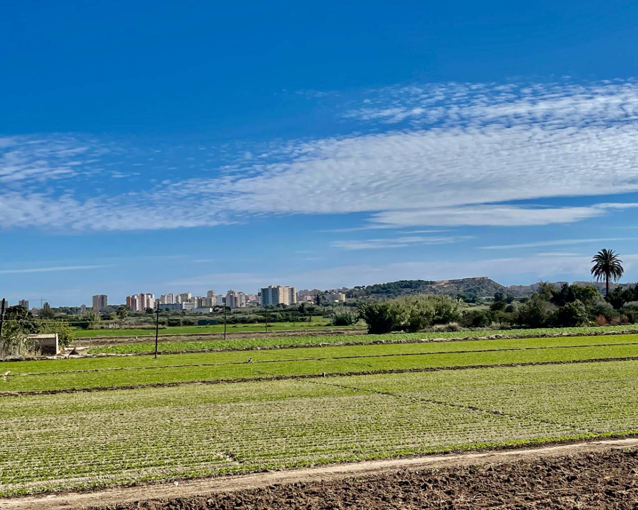 For Sale. Villa in Guardamar del Segura