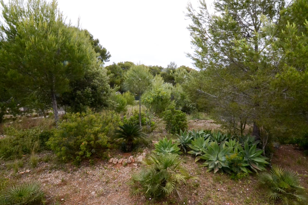 CC-44904 - Landgut zum verkauf in Dénia