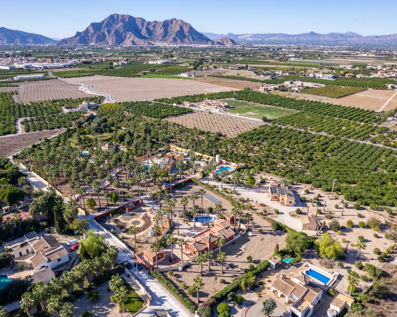 Venta. Finca en Almoradi