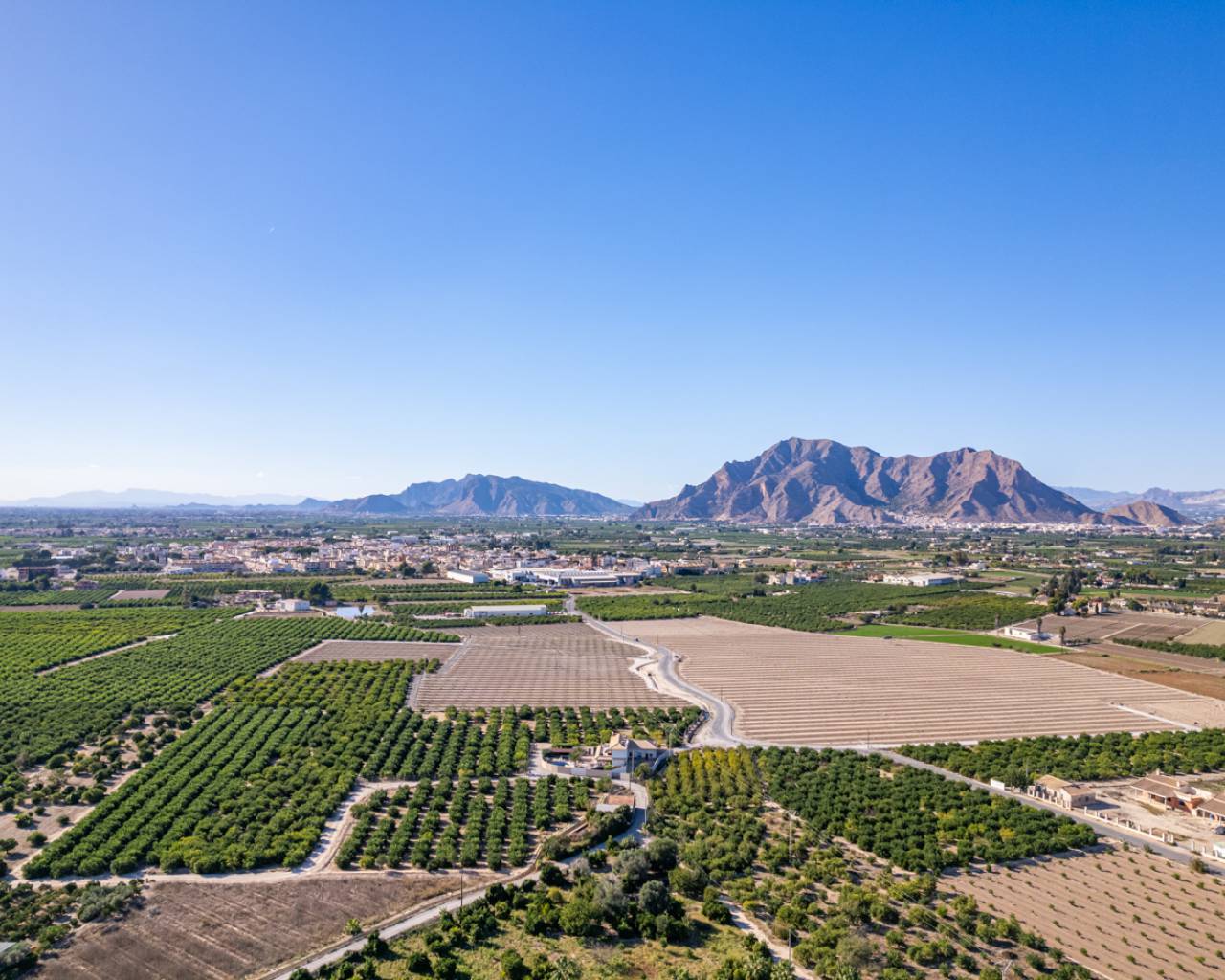 Venta. Finca en Almoradi