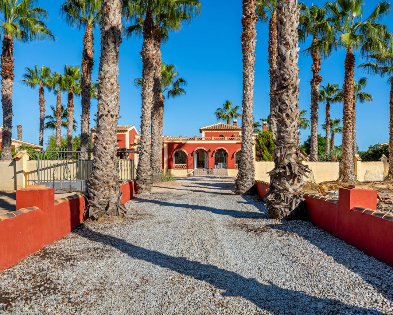 Venta. Finca en Almoradi