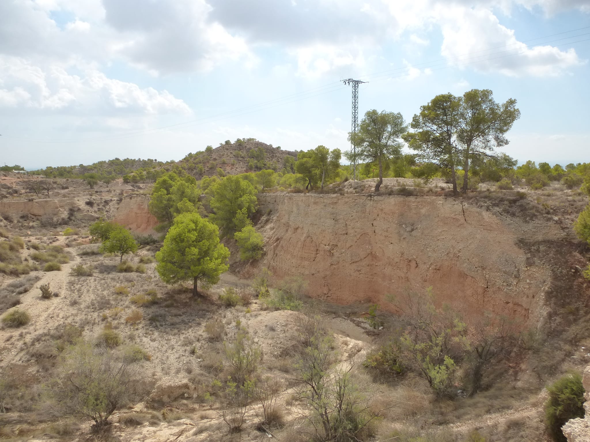 For Sale. Plot in Crevillente