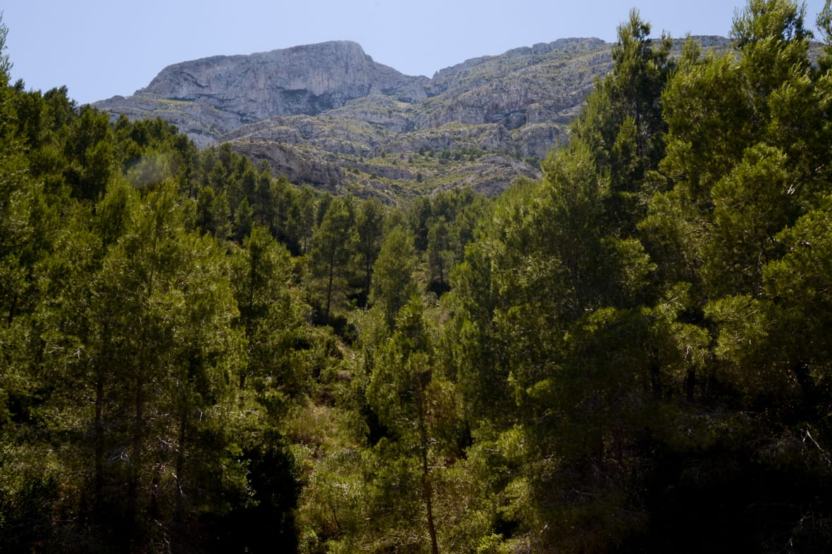 Villa for sale in Dénia