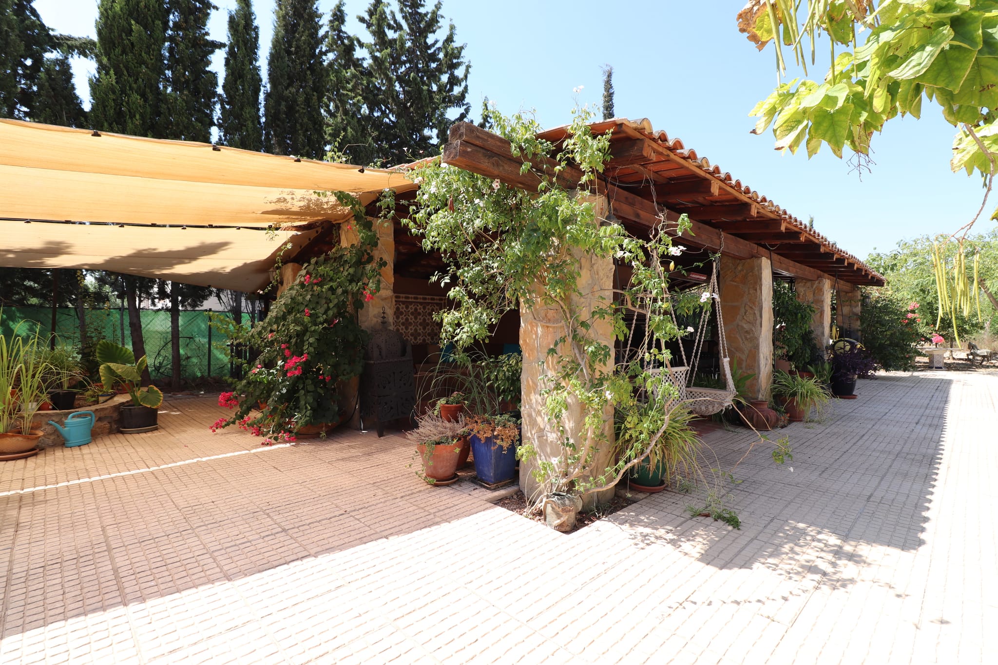 Venta. Finca en Catral