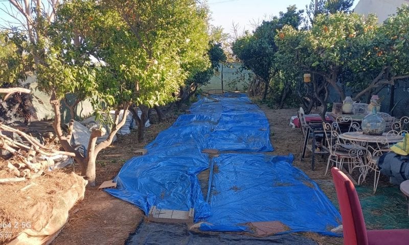 CC-1962765 - Venta. Finca en Pilar de la Horadada