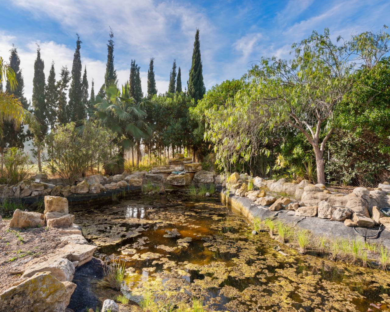 Venta. Villa en Catral