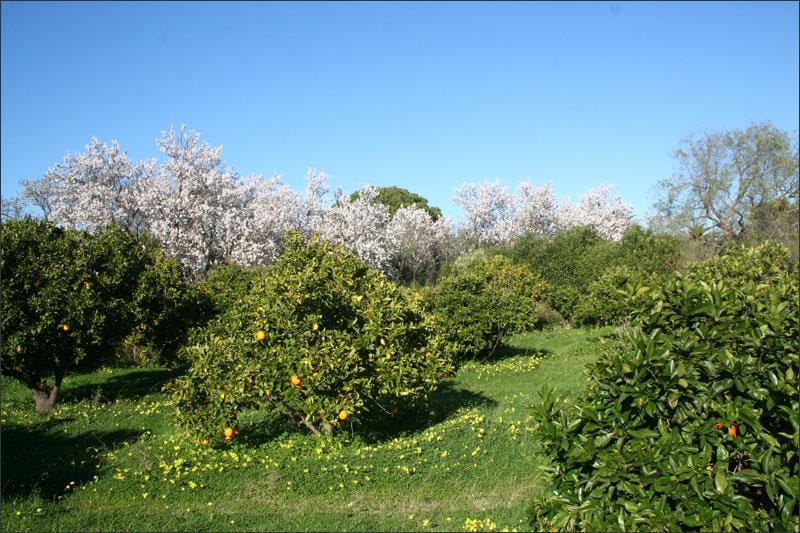 Villa for sale in Denia