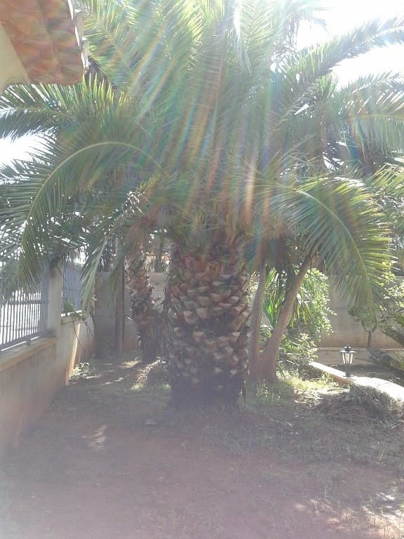 Villa en venta en Denia