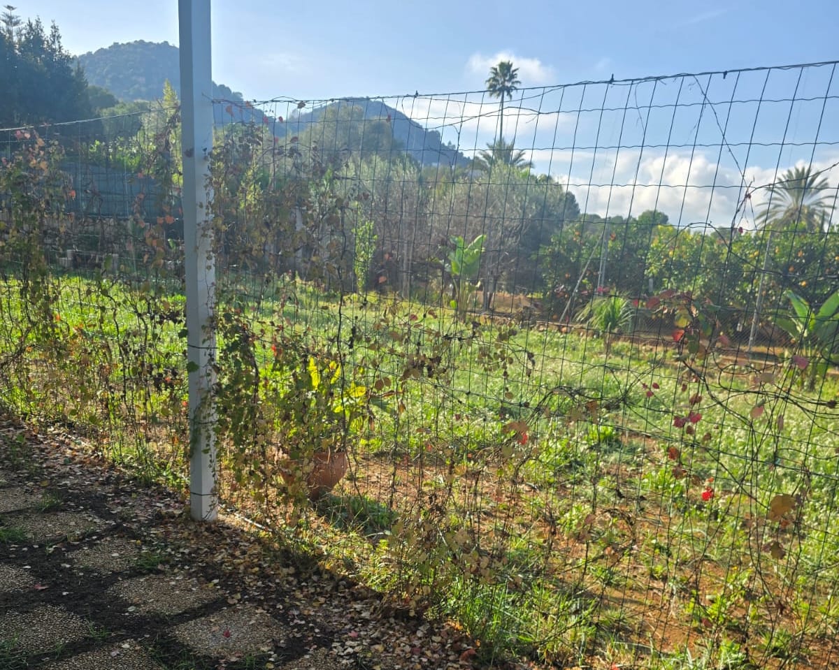 Land for sale in La Sella
