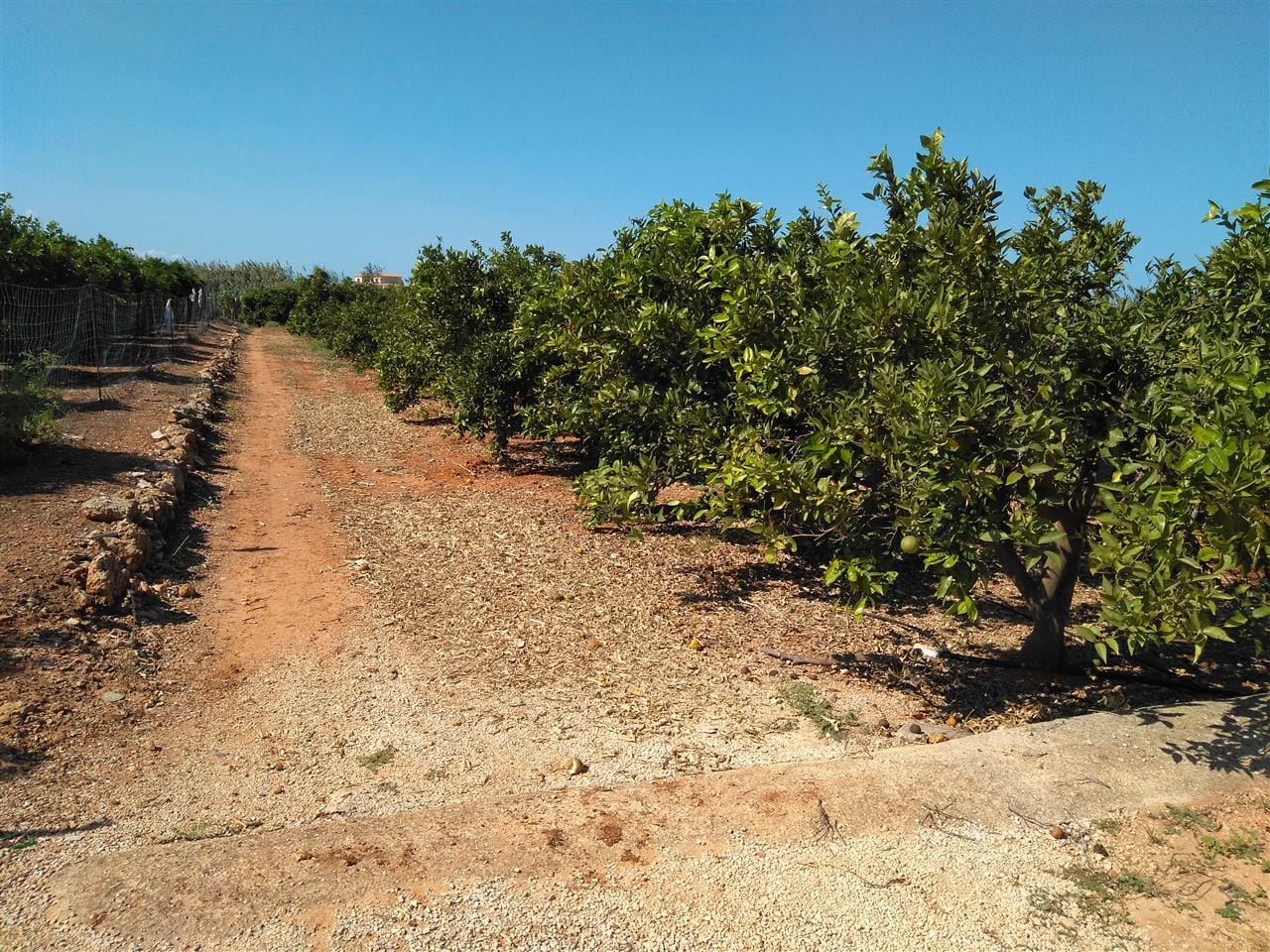 Land for sale in Ondara