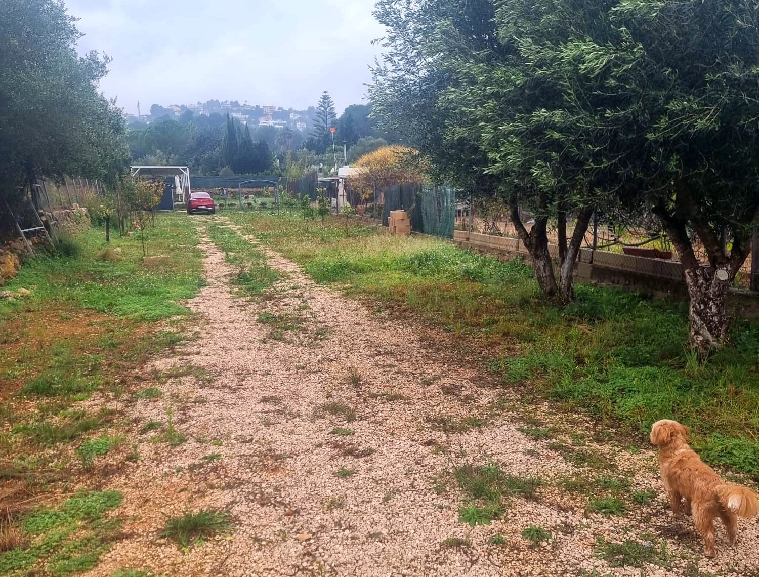 Land for sale in La Sella