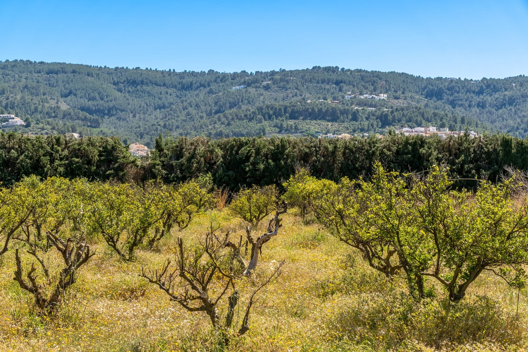 Finca for sale in Benidoleig