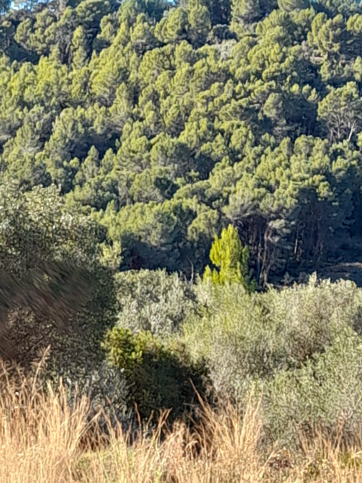 Land for sale in Benidoleig
