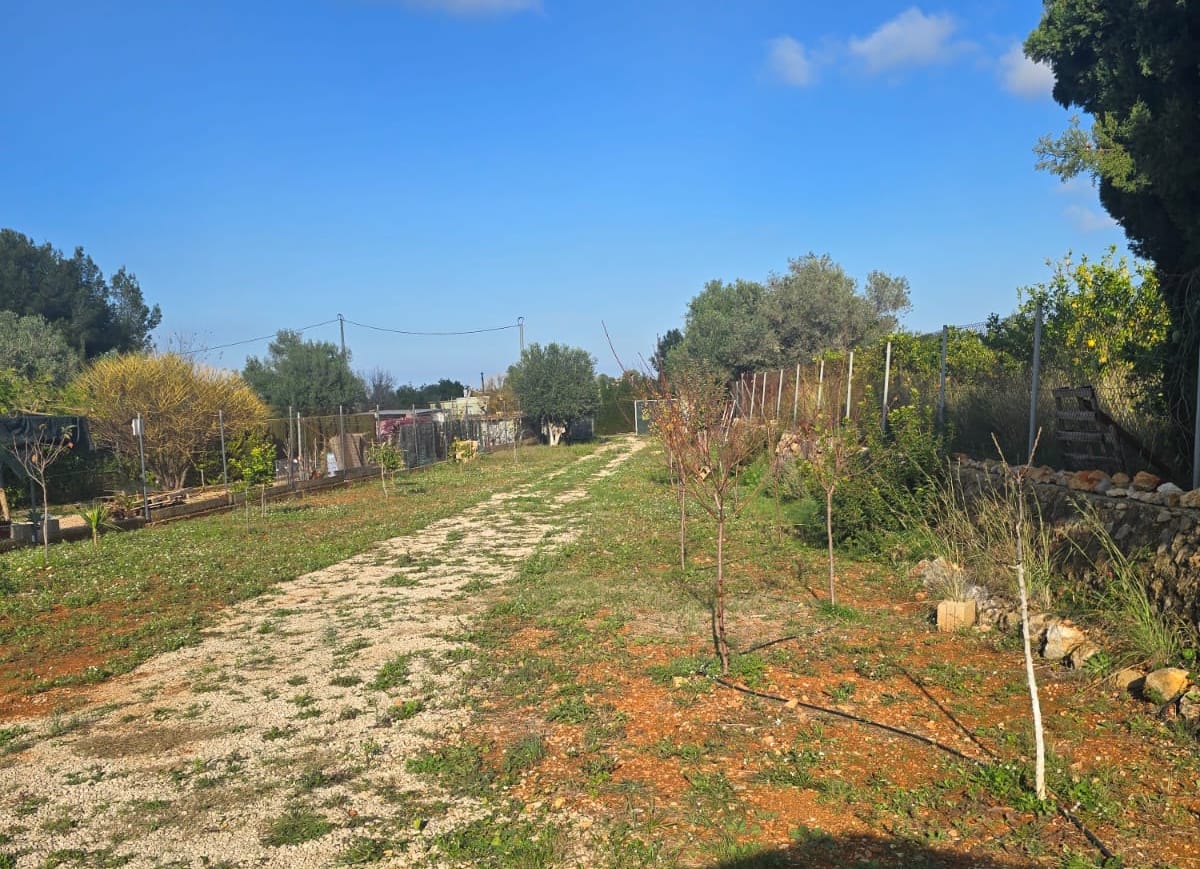 Land for sale in La Sella