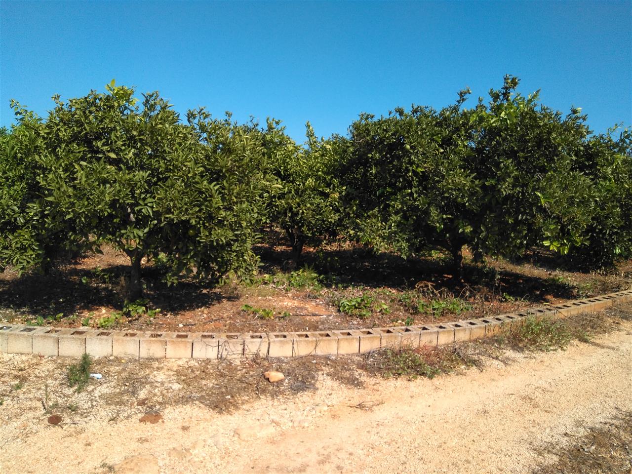 Land for sale in Ondara