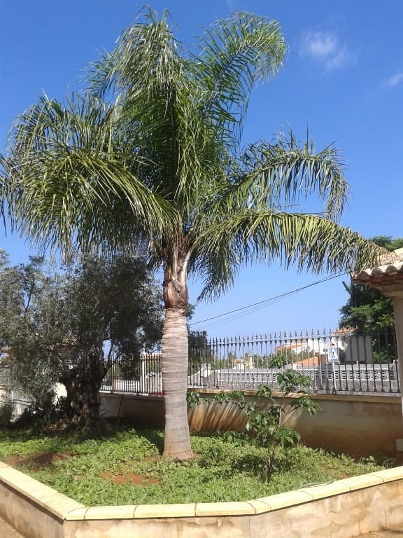 Villa en venta en Denia
