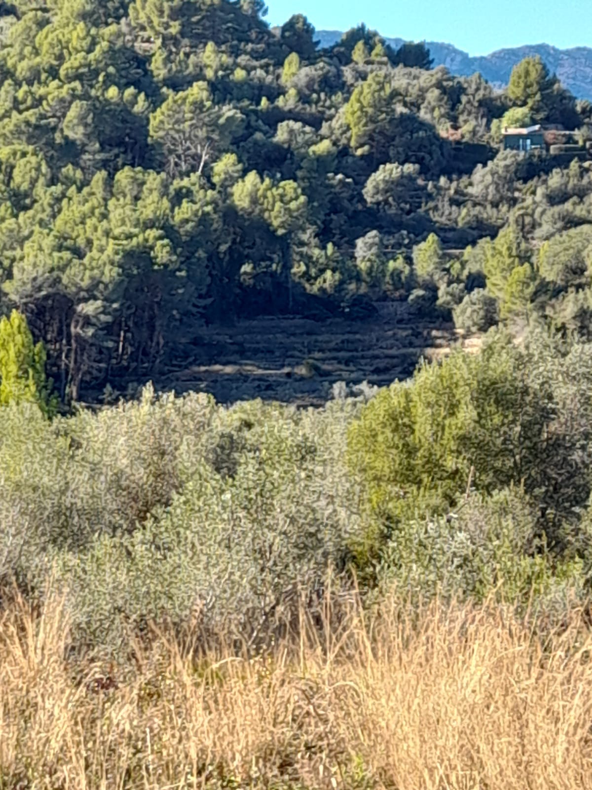 Land for sale in Benidoleig